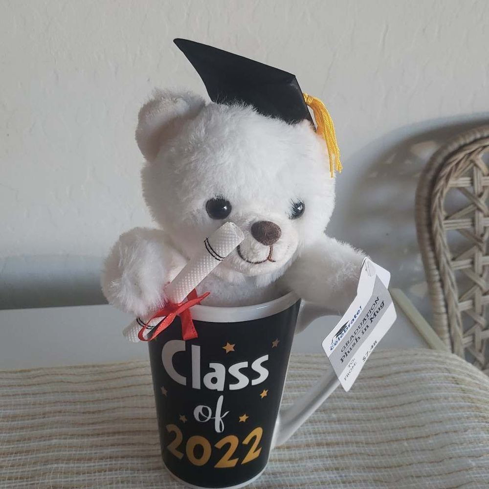 Class of 22 graduation log and bear